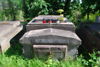 b.d. Dreżepolscy