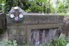 b.d. Korzeleccy