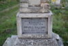 Zygmuś Wilczek