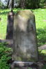 Adolf Sienkiewicz