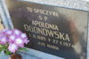 Apolonia Ogonowska