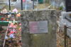 Maria Żujła