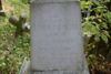 Ludwik Górnicki