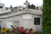 Teodozja Zaborowska