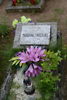 Marianna Świergiel