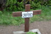 Genowefa Błońska