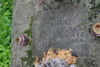Matylda Garan