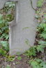 Jan Trojniak