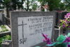 Stanisław Żmijewski