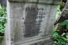 Adam Jezierski h. Nowina