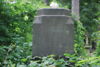 Józef Czaykowski