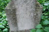 b.d. Lekczyński