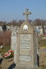 Aleksander Wasiukiewicz