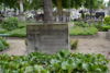 Henryk Fiszer