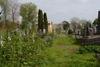 Alexander Ebers v,