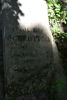 Franciszek Połkotycki