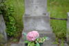 Maria Górska