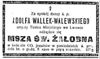 Adolf Wallek-Walerwski