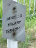 Hilary Brusiło